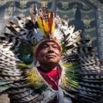 Healing Through Heritage: The Role of Indigenous Healers in Modern Medicine