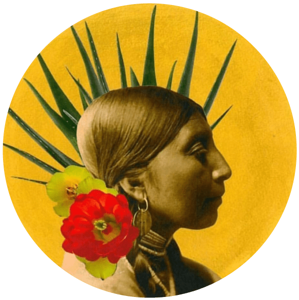 SunMoonSeed VaM